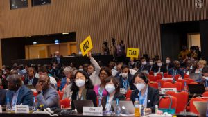 Caption: Members of the Indian and Thai delegations cast votes during the June 2022 ITU World Telecommunication ​Development Conference in ​Kigali, Rwanda. Credit: International Telecommunications Union via Flickr.