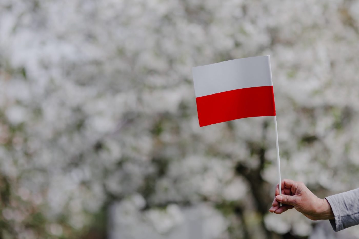 Photo: Flag of Poland via Pikrepo. https://www.pikrepo.com/fbmfc/flag-of-poland-polska-flaga