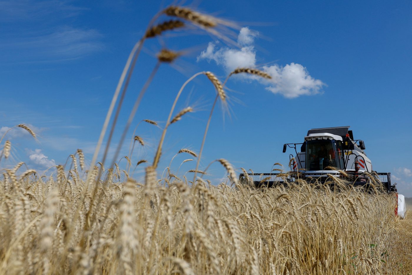 Photo: A farmer operates a combine while harvesting wheat in a field in the course of Russia's war in Ukraine near Luhansk, Ukraine, July 18, 2023. Credit: REUTERS/Alexander Ermochenko