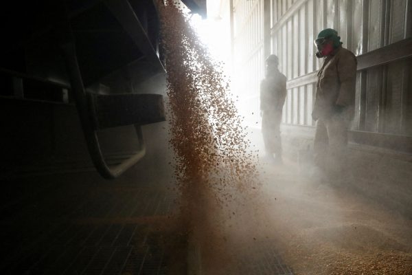 Photo: Workers unload a truck with GMO yellow corn imported from the U.S. at a cattle feed plant in Tepexpan, Mexico March 15, 2023. Credit: REUTERS/Raquel Cunha