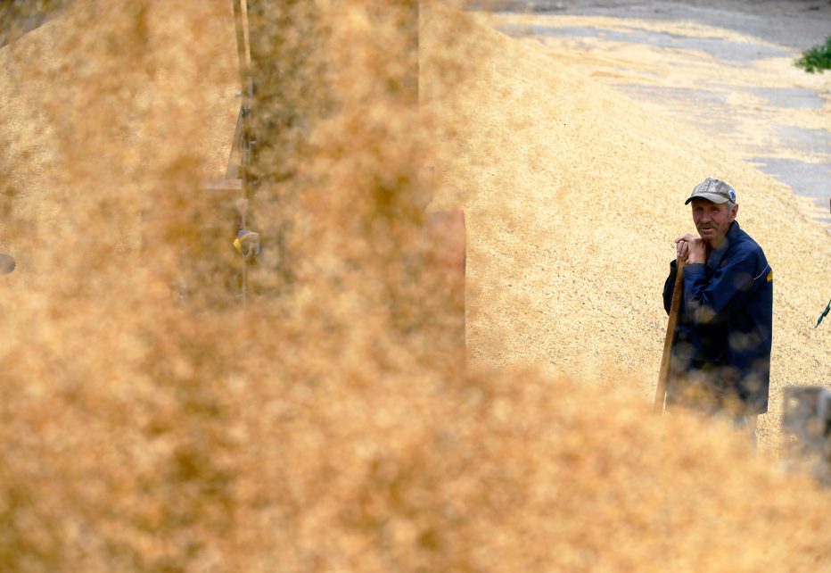 Photo: Ukrainian farmers load mix grains of wheat and barley after harvesting at a grain terminal in Odesa. As Russian invasion of Ukraine continues, more than 20 million tonnes of Ukrainian grain were blocked at the Ukrainian ports, a significant part of which was intended for the UN World Food Programme, reportedly by local media. Credit: Photo by Pavlo Gonchar / SOPA Images/Sipa USA