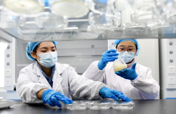 Staff members are testing a sample of coarse grain at a laboratory of a biotechnology company in Zhangjiakou, North China's Hebei province, March 3, 2024. Credit: CFOTO/Sipa USA