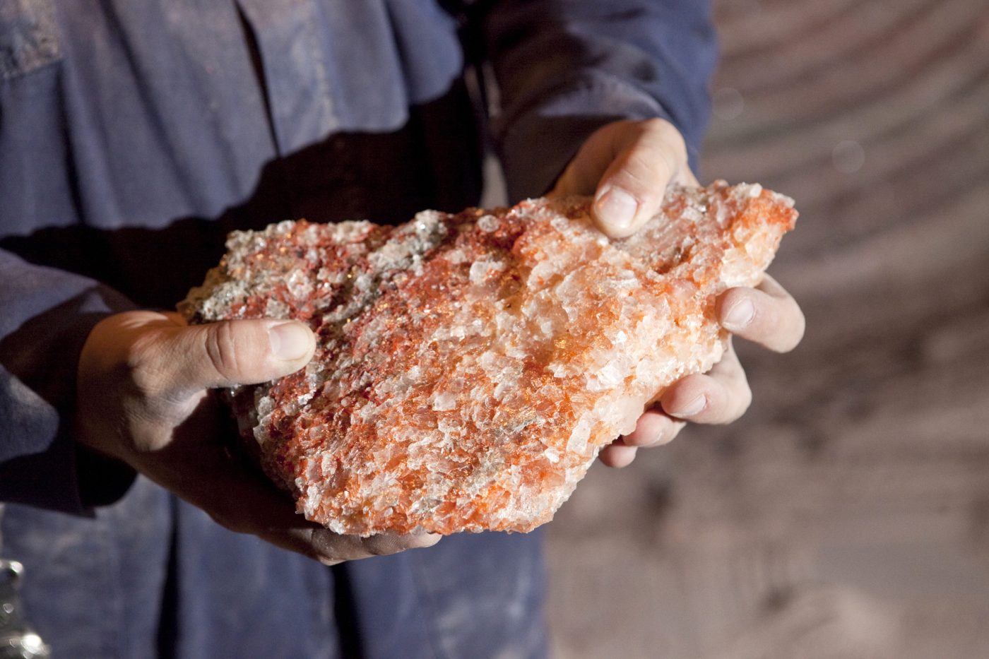 Photo: Senior mine engineer Shawn Mahalus examines a piece of raw potash in the Mosaic Potash Colonsay mine in Colonsay, Saskatchewan September 24, 2009. Potash drilled from the earth is carried up to the surface on a conveyor belt where it is processed into a usable product. The global commodity boom and bust has lifted a little-known crop nutrient called potash out of obscurity, turning the the global potash industry into an investor darling and highlighting the power of a handful of producers to control prices. Credit: REUTERS/David Stobbe