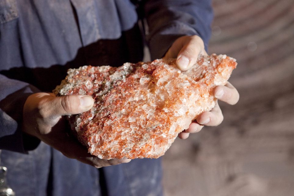 Photo: Senior mine engineer Shawn Mahalus examines a piece of raw potash in the Mosaic Potash Colonsay mine in Colonsay, Saskatchewan September 24, 2009. Potash drilled from the earth is carried up to the surface on a conveyor belt where it is processed into a usable product. The global commodity boom and bust has lifted a little-known crop nutrient called potash out of obscurity, turning the the global potash industry into an investor darling and highlighting the power of a handful of producers to control prices. Credit: REUTERS/David Stobbe