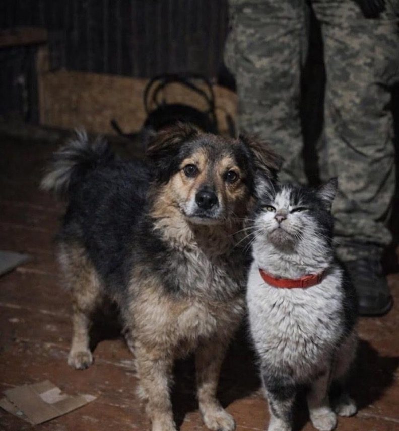 Animal Magic: Pets and Vets Aid Ukraine’s Resistance