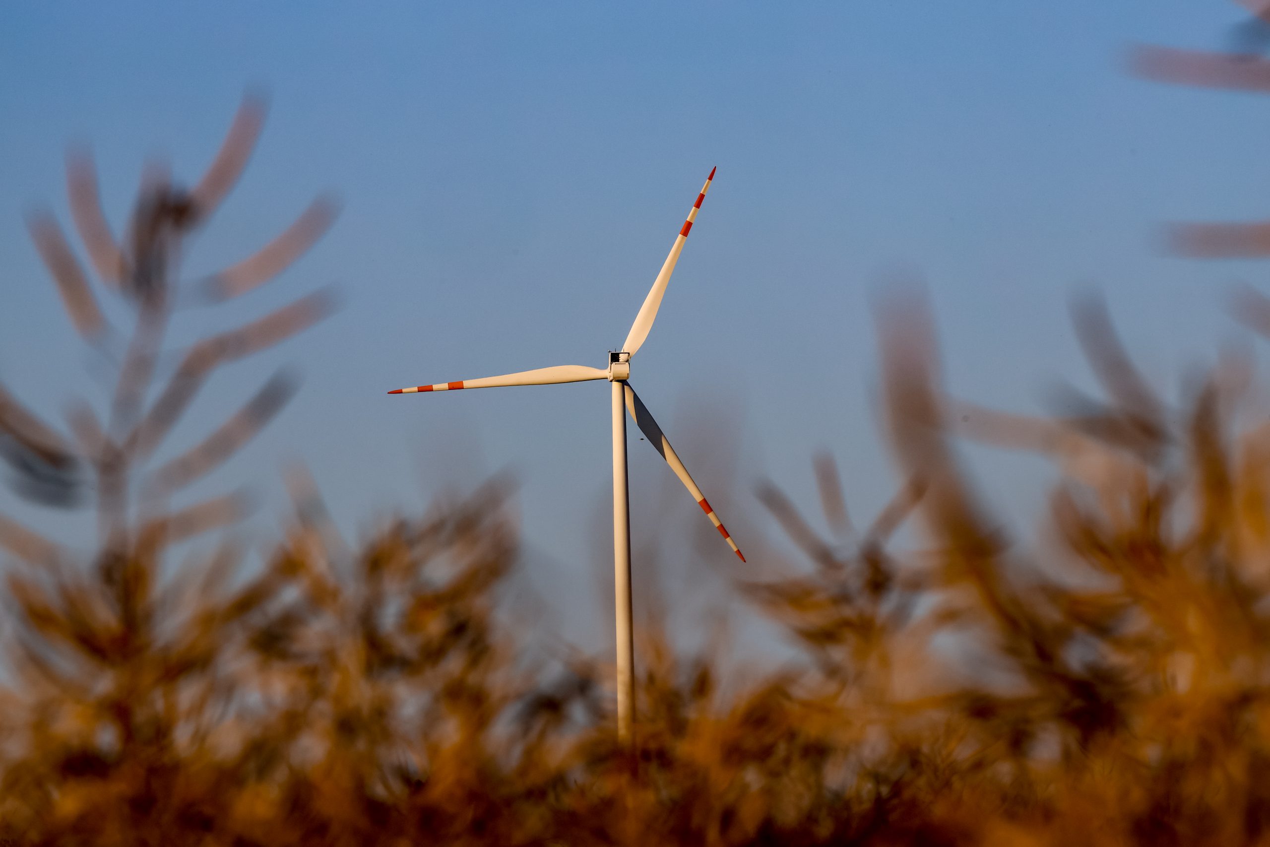 Europe’s Renewables Loosen Energy Stranglehold